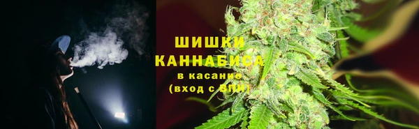 ГАЛЛЮЦИНОГЕННЫЕ ГРИБЫ Армянск