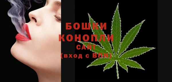 PSILOCYBIN Арсеньев