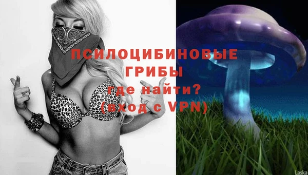ГАЛЛЮЦИНОГЕННЫЕ ГРИБЫ Армянск
