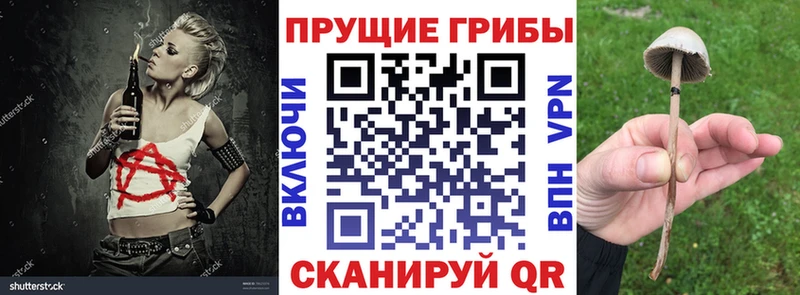 hydra ссылка  Краснослободск  Галлюциногенные грибы мицелий 